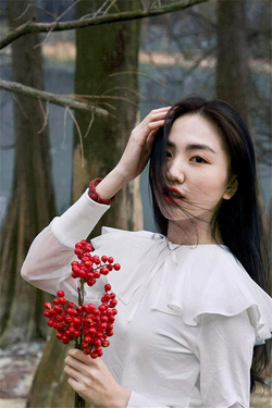 91入口官方下载页面